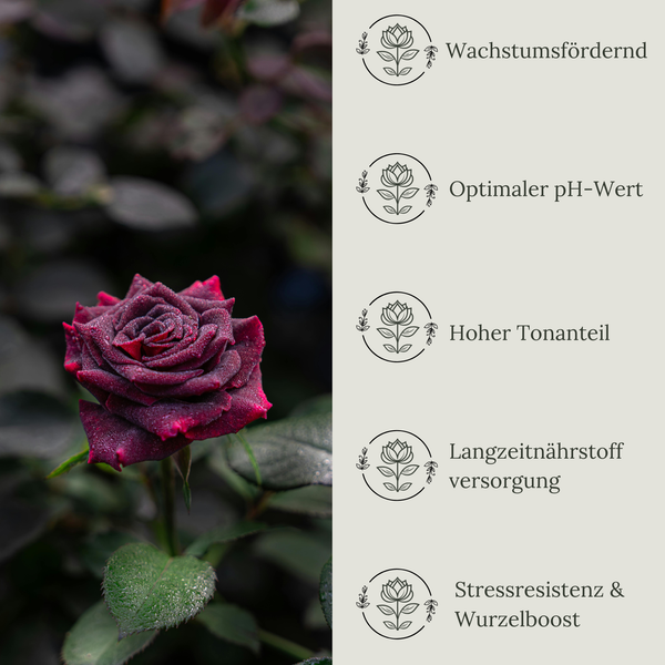 Floravera Rosenerde Bio Vegan Torffrei 20L