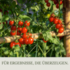 Floravera Tomatenerde Bio Vegan Torffrei 20L