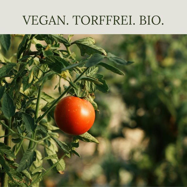 Floravera Tomatenerde Bio Vegan Torffrei 20L