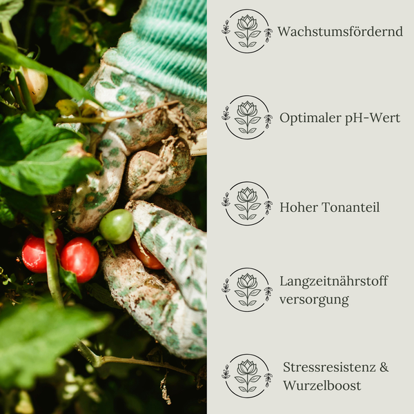 Floravera Tomatenerde Bio Vegan Torffrei 20L