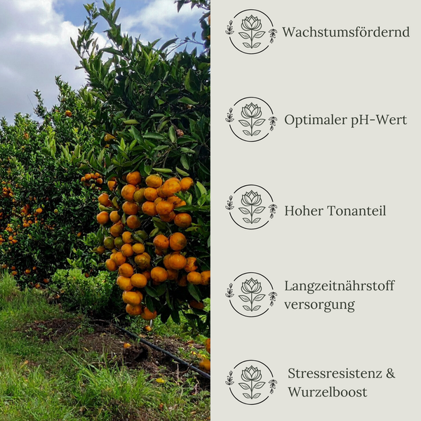 Floravera Zitruserde Bio Vegan Torffrei 20L