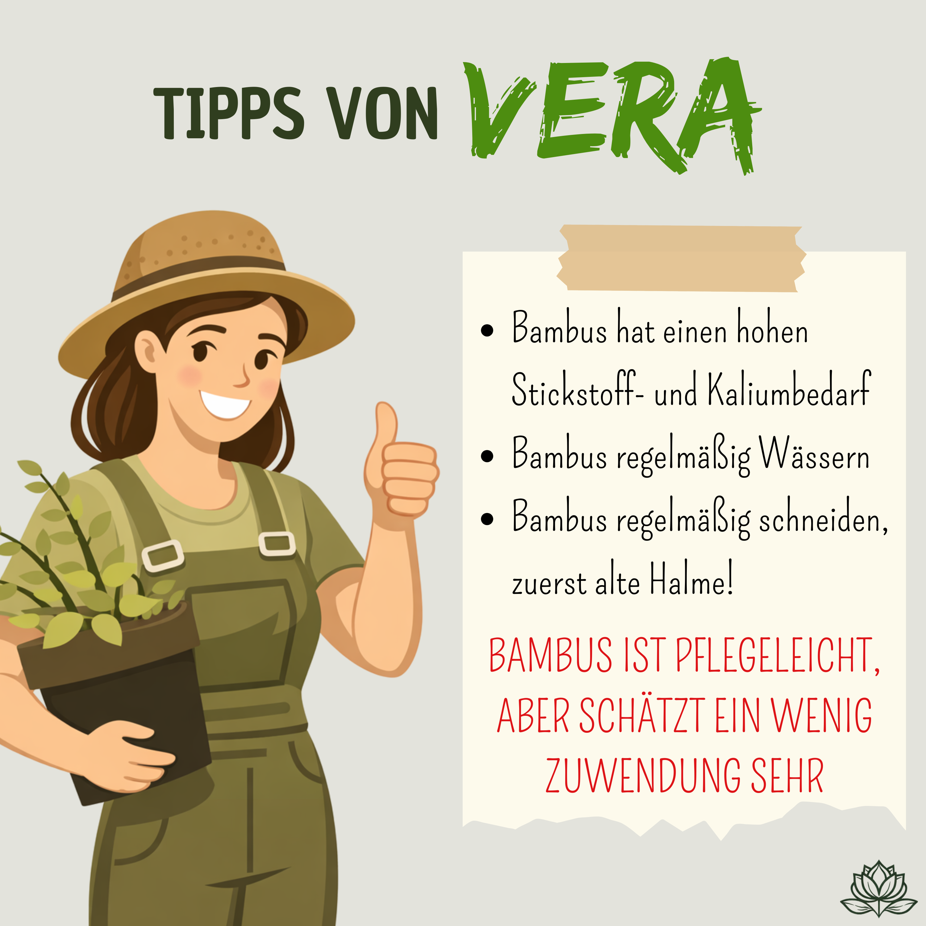 Veras Pflegehinweise