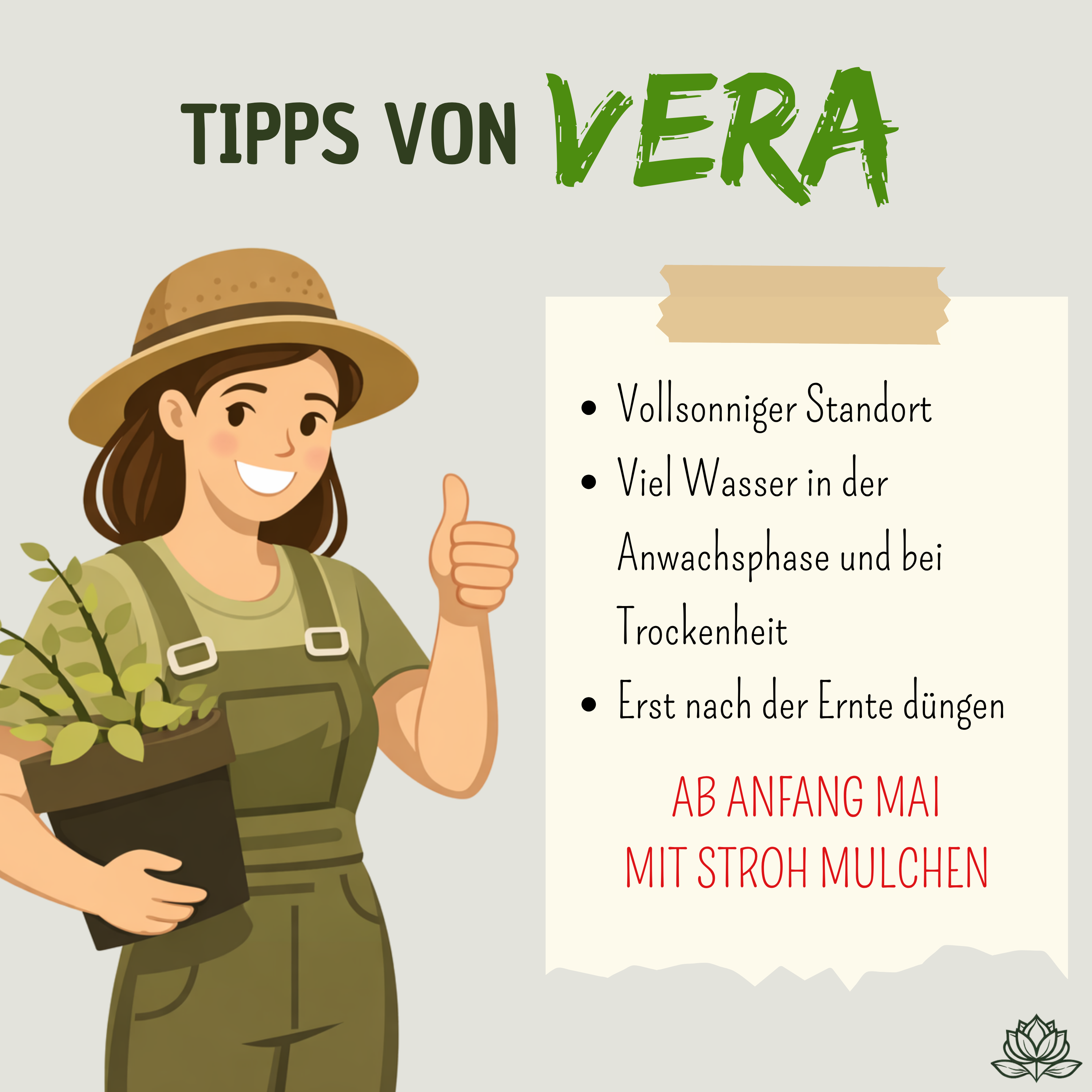 Veras Pflegehinweise