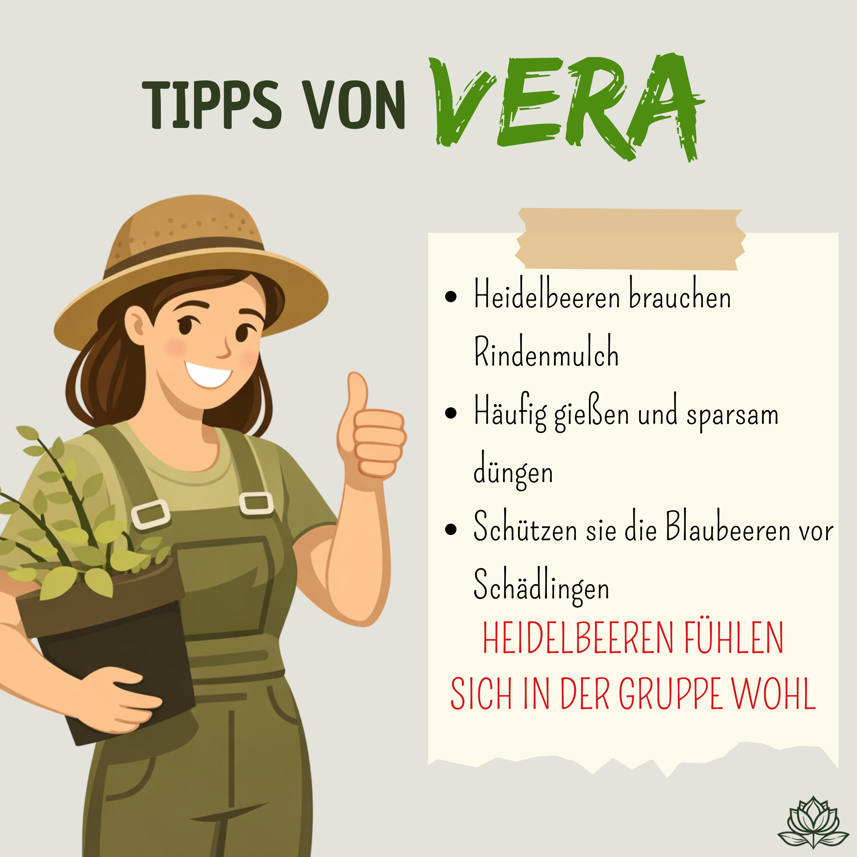 Veras Pflegehinweise