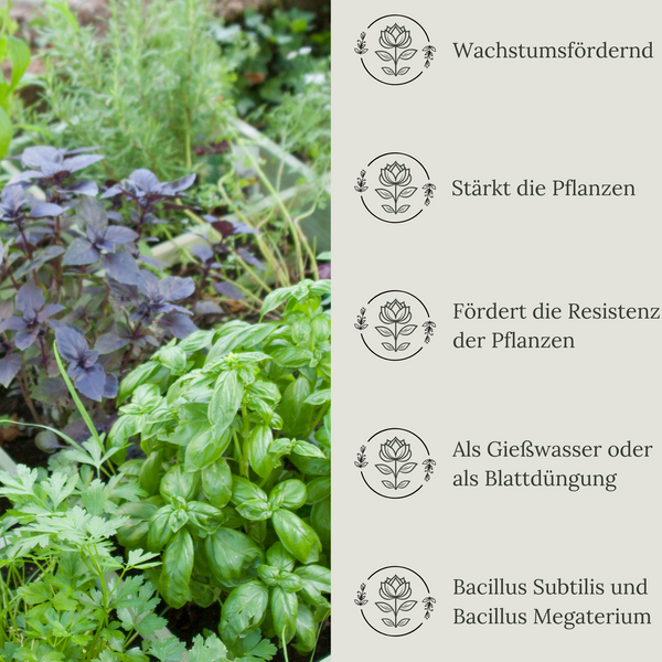 Floravera Premium GartenkräuterBio-Flüssigdünger 1 Liter Dünger Basilikumdünger Kräuterdünger