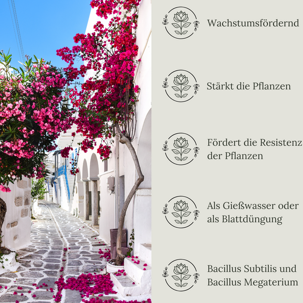 Floravera Premium Oleander Bio-Flüssigdünger 1 Liter Dünger Oleanderdünger