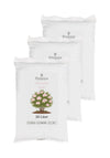 Floravera Oleandererde Bio Vegan Torffrrei 20L