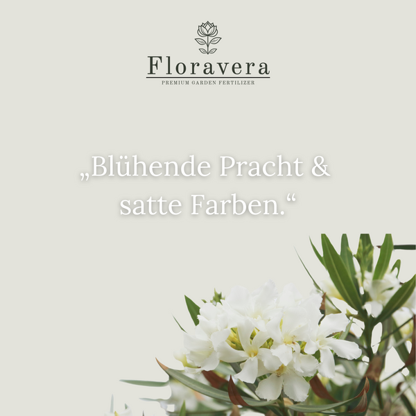 Floravera Premium Oleander Bio-Flüssigdünger 1 Liter Dünger Oleanderdünger
