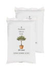 Floravera Olivenerde Bio Vegan Torffrei 20L