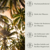 Floravera Premium Palmen Bio-Flüssigdünger 1 Liter Palmendünger Dünger