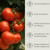 Floravera Premium Tomaten Bio-Flüssigdünger 1 Liter Tomatendünger Dünger